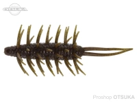  ハイドアップ コイケシュリンプ 