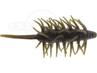  ハイドアップ コイケシュリンプ 