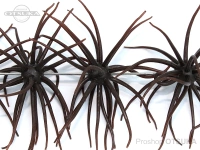  ハイドアップ コイケ 