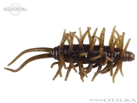  ハイドアップ コイケシュリンプ 