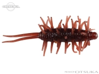  ハイドアップ コイケシュリンプ 