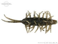  ハイドアップ コイケシュリンプ 