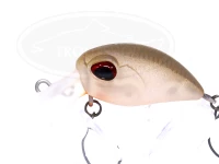  ヴァルケイン ヘイズ  ナノ SS