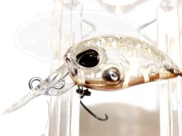  ヴァルケイン ヘイズ 