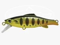  ヴァルケイン レベルオンディーヌ  ラグマ 55S