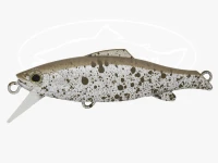  ヴァルケイン レベルオンディーヌ  ラグマ 55S