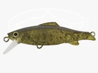  ヴァルケイン レベルオンディーヌ  ラグマ 55S