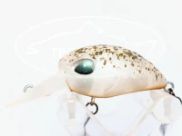  ヴァルケイン ヘイズ  DD
