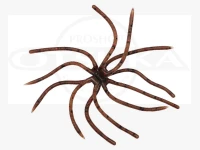 Reins  Umbrella  Wire  - Umbrella Wire Mini FM Size 007 Shrimp Miso Diameter approximately 80mm