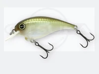  レヴォニック サラモア  ドライボーン