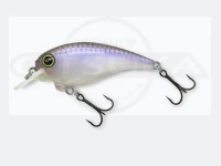  レヴォニック サラモア  ドライボーン