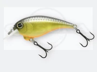  レヴォニック サラモア  ドライボーン