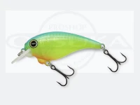  レヴォニック サラモア  ドライボーン