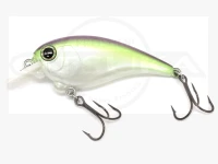  レヴォニック サラモア  ドライボーン