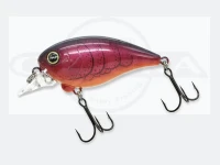 Revonik Dot Six -  Ver1.5 Dry Bone Size 7+ #Crowdud Floating