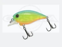 Revonik Dot Six -  Ver1.5 Dry Bone Size 7+ #Blue Back Chart Floating