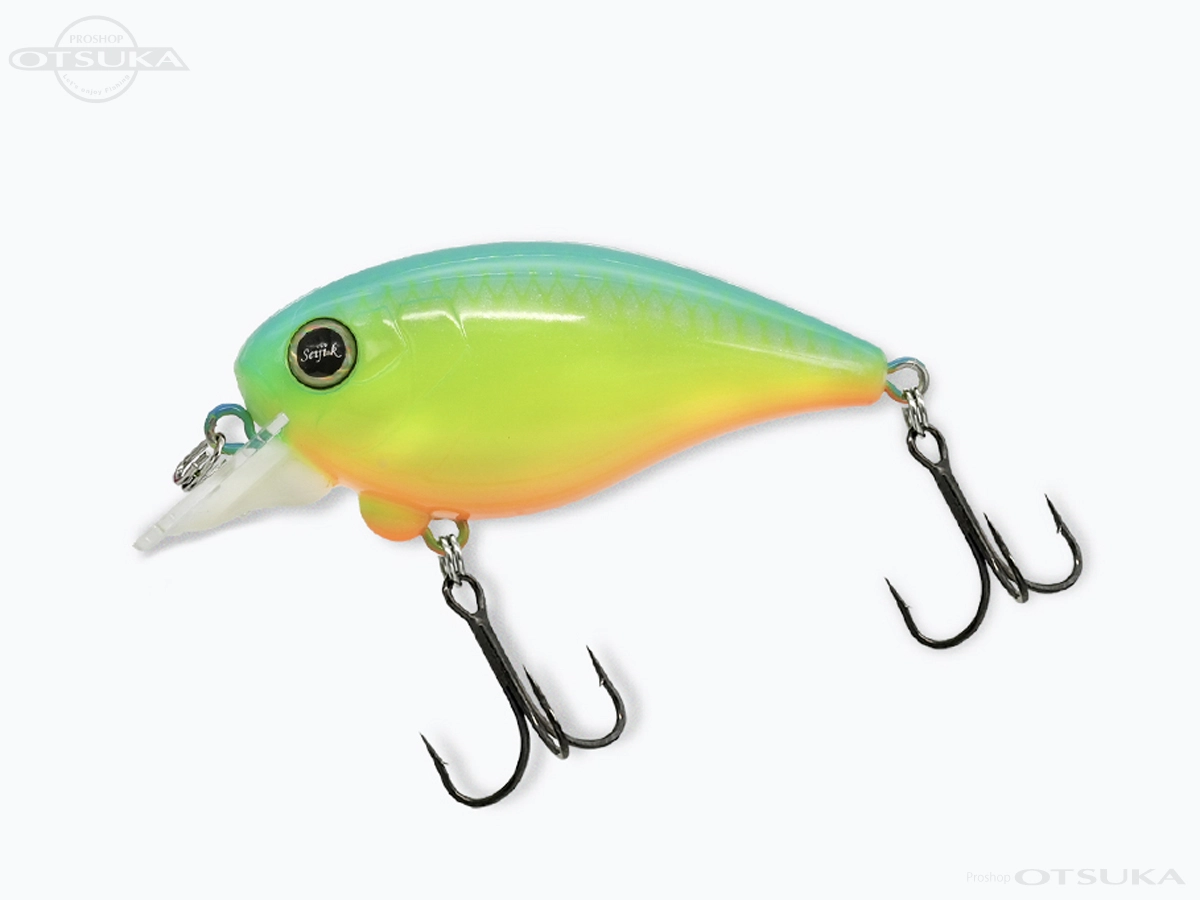 レヴォニック ドットシックス Ver1.5 ドライボーン 8.5L