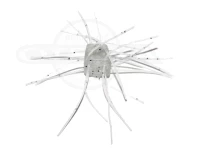  フィールドサイド サイコロラバー 