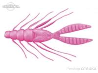  ブラックマリア ゴキブリ  