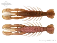  ボトムアップ ハリーシュリンプ 