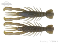  ボトムアップ ハリーシュリンプ 