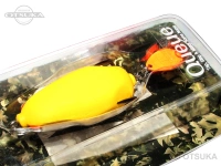  ディープフォレスト フロッグ キュー