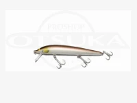 ウッドリーム ノーネイムミノー  120 #NBT 11.85cm/10.6g