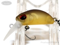  ヴァルケイン クーガ 