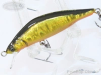 レイチューン インジェクション - TX50RSS #10 クロキンOB 50mm 4.5g ヘビーシンキング