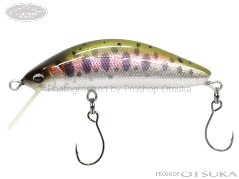 プラグ レイチューン の通販・在庫一覧