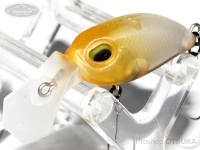  ヴァルケイン クーガ 