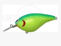 TEX グリント - 2.0 #ブルーバックチャート 11g