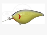 TEX グリント - 2.0 #オールドスクール 11g