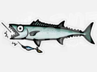 ヒサオデザイン ステッカー -  # サワラステッカー 