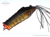  ノリーズ エビガエル 