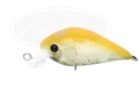  マルキュー・ノリーズ ミート 