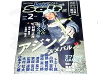  内外出版 ルアー・マガジン ソルト 