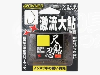 オーナー 尺鮎忍 - 16483  9.0号