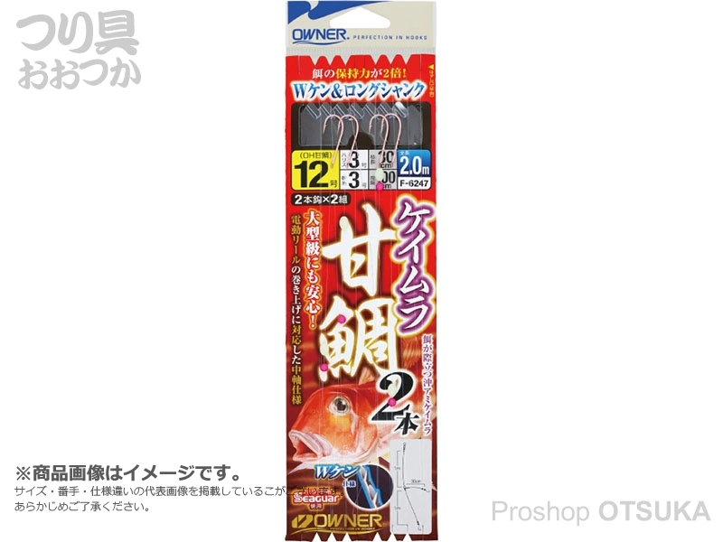 オーナー 仕掛 ケイムラ甘鯛2本 F-6247の通販・在庫一覧 | プロ
