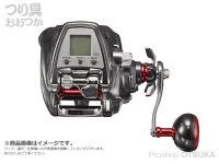  ダイワ 19 シーボーグ 