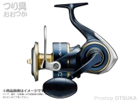  ダイワ 20ソルティガ 