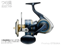  ダイワ 20ソルティガ 