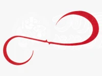 Hayabusa Free Slide Custom Silicone Neck Tie - SE188 Size 4 Fire Red Shrimp Bulky Carried Double