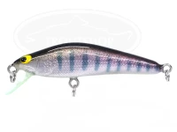  アングロ ホーボー 