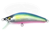  クマタニトラスト ヤマセ 