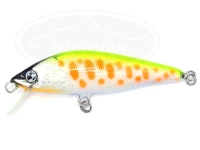  ワダクラフト エモーション 