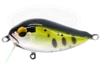  クマタニトラスト フェーリーチェ 