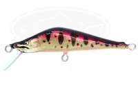  ルアースタジオヤマト 瓢 