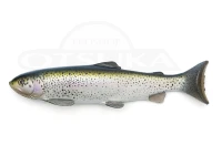ネイツベイト ラインスルートラウト - 12インチ  #グリーンバックトラウト 12インチ