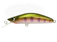  カスケット トラッドミノー 